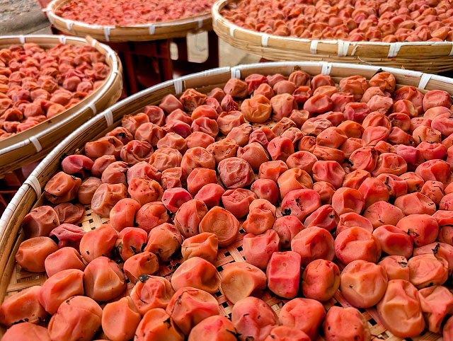 梅干 値上げの秋再び 産地維持へ苦渋の決断 国産不作・中国産コスト高