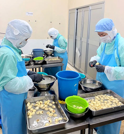 栗の皮むき作業