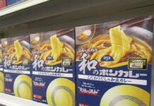 ごはんにも麺にも合う「和のボンカレー」レトルトカレー売場から麺売場へ領域拡大 インバウント需要獲得も視野 「旨みを味わう和のボンカレー こだわりだしの和風カレー」