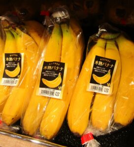 木熟バナナ