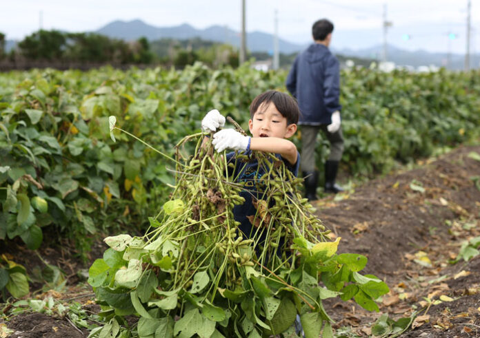 こんなにとれたよ！