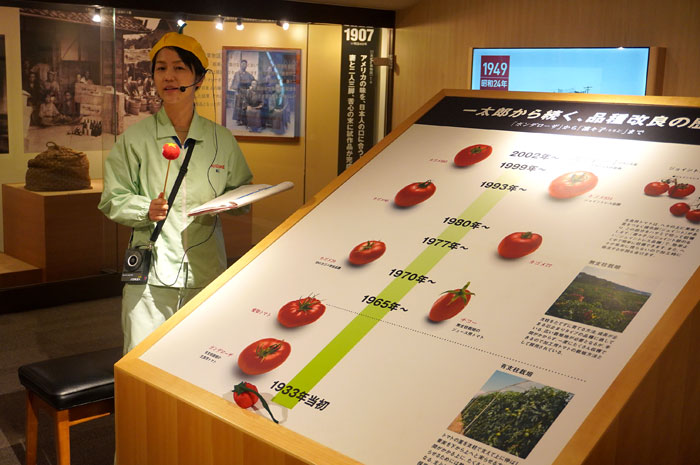 トマトの品種改良の歴史を説明するスタッフ トマトの品種改良の歴史を説明するスタッフ