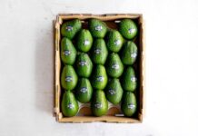 NZから旬の便り アボカド〈アバンザ〉 東京ミッドタウンの人気カフェとコラボメニュー 今が旬のアボカドアバンザ