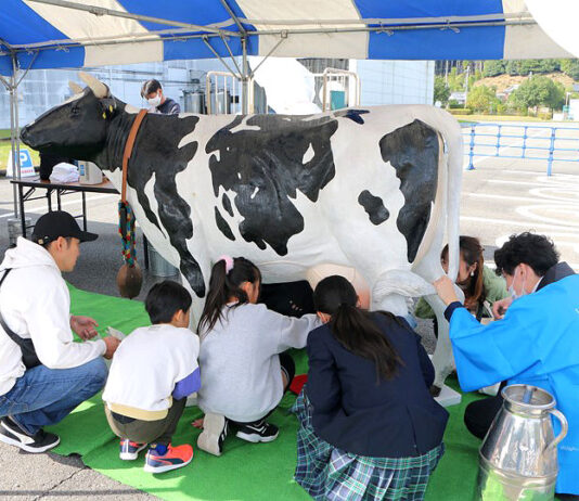 搾乳体験の様子(京都工場)