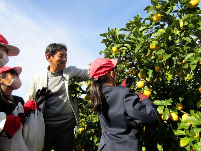 ポッカサッポロ自社農園でレモンの収穫を先導する佐藤雅志社長