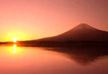 ネクストフェーズへ一丸 食の価値観向上に向け ネクストフェーズへ一丸 食の価値観向上に向け