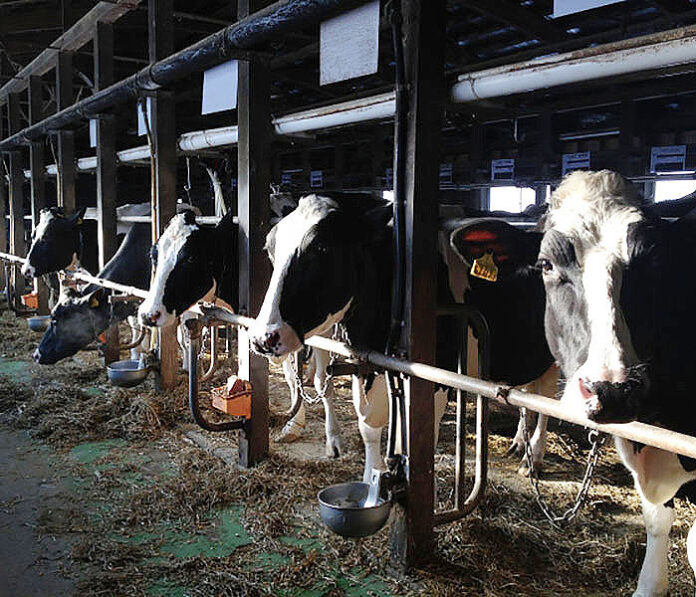 2025年酪農乳業界重大ニュース 新酪肉近代化基本方針を策定 生乳需給安定へ制度対応進む