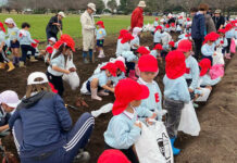 キリンビール福岡工場で「さつまいも掘り体験会」 園児ら約800人参加 園児らがさつまいも掘りを体験