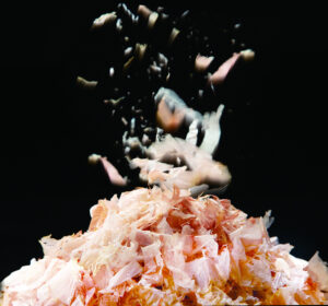 削り節のイメージ