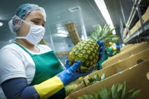 自社農園のパインアップル使用