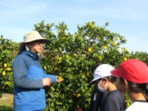 大崎上島の自社農園で児童にレモンの収穫のやり方を指南するマーケティング本部産地形成グループの髙寺恒慈氏