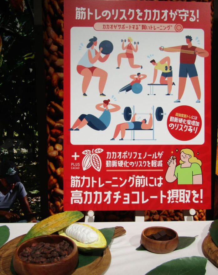 筋トレ前の高カカオチョコレートの摂取が動脈の硬さの速やかな低下につながる