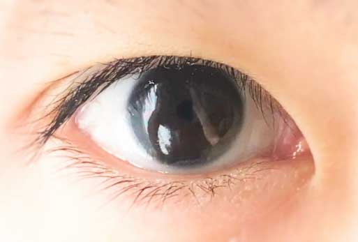 見えること、見えていないこと