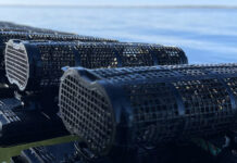 カキ養殖の展望を聞く〈前編〉 “殻付き”市場拡大 環境変化と効率化に対応 シーパジャパン・吉本剛宏社長 注目されるシングルシード養殖