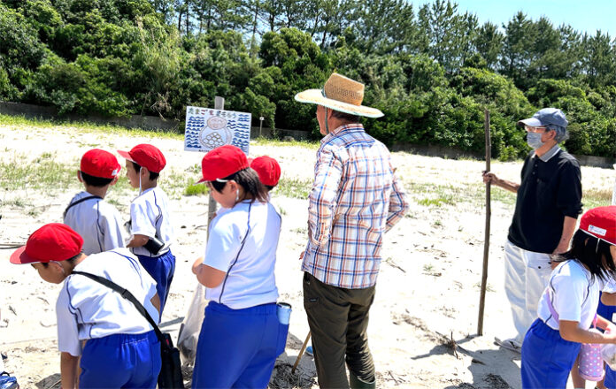 ウミガメの卵を保護するために看板を設置