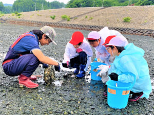 ラムサール条約湿地登録の志津川湾で干潟調査を実施