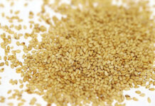 真誠 業務用ごま製品を価格改定 黒は値上げ、白・金は値下げ