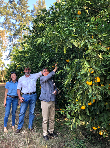 南アフリカの農園を視察