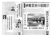 新春砂糖特集 新春砂糖特集