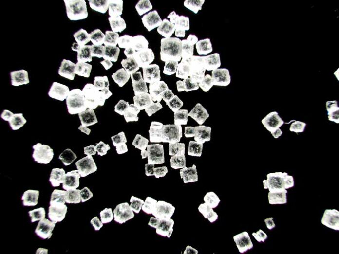 塩の通説、科学でひも解く　2/13（金）小田原で無料公開セミナー