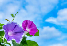 長い夏 商機は初めと終わりに 長い夏 商機は初めと終わりに