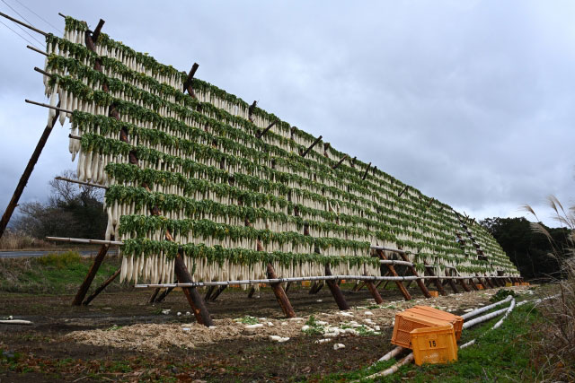 高齢化で干し作業が負担に