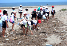 全校浜活動が海を守る使命感に直結 第26回環境美化教育最優秀校③ 新潟県長岡市立寺泊小学校 全校浜活動が海を守る使命感に直結 第26回環境美化教育最優秀校③ 新潟県長岡市立寺泊小学校