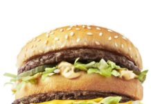 「ビッグマック」480円→500円 マクドナルド標準店の約6割の商品を価格改定 「ビッグマック」