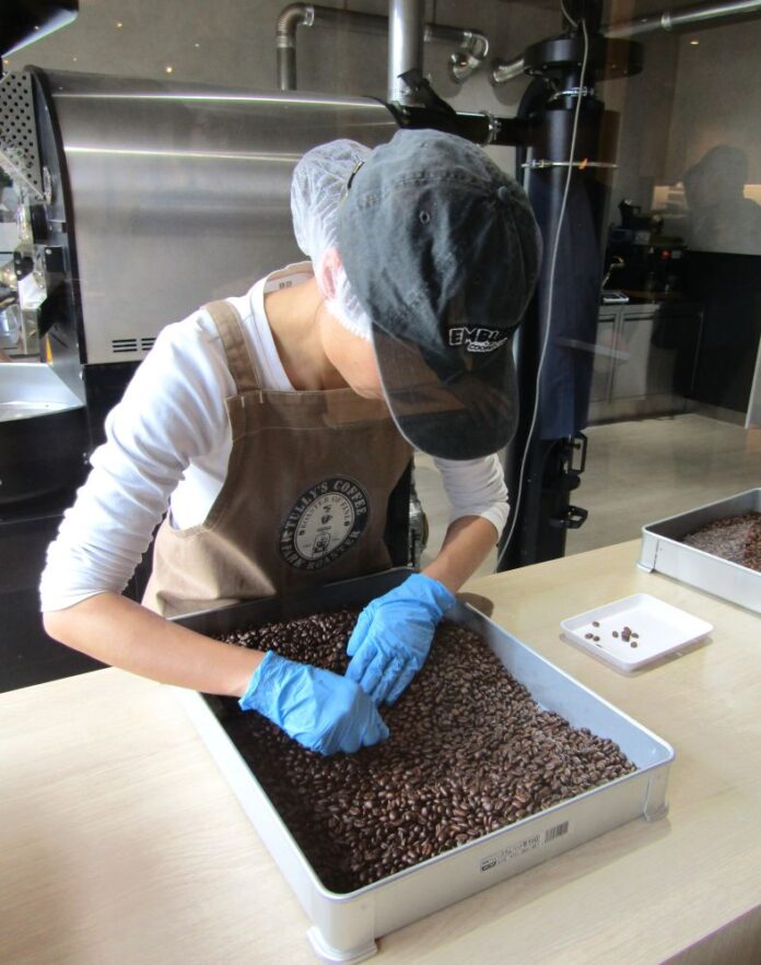 焙煎豆の選別の様子