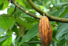 父の言葉 父の言葉