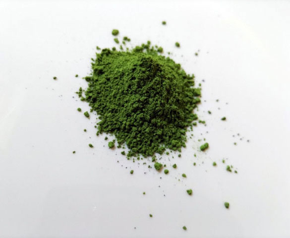 微細藻類は人類を救えるか？