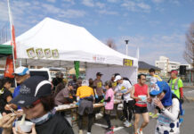 カネス製麺 姫路城マラソンに協賛 にゅうめん1800人に振る舞う カネス製麺 姫路城マラソンに協賛 にゅうめん1800人に振る舞う