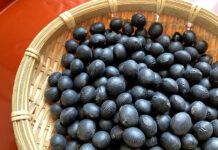 黒大豆成分に新たな機能性 フジッコの届出受理 黒大豆成分に新たな機能性 フジッコの届出受理