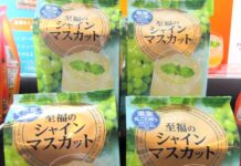 「日東紅茶」夏の長期化へ冷水で溶かすだけで楽しめるインスタント飲料「至福シリーズ」拡充 「至福のシャインマスカット」