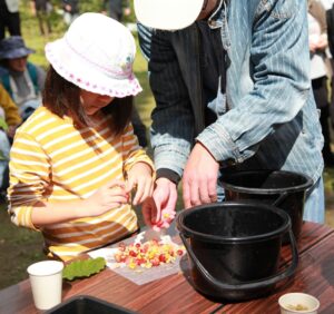 農園エリアでのコーヒー精選の様子