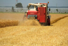 農水省 4月期輸入麦価、6期ぶり引き上げ 農水省 4月期輸入麦価、6期ぶり引き上げ