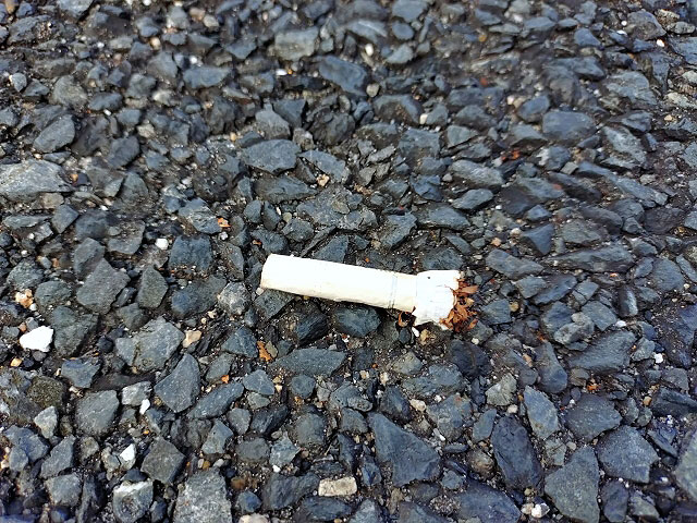 どこかで、誰かに、見られている