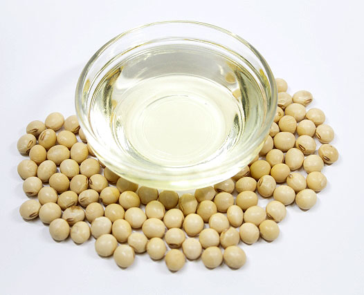 中東情勢とバイオ燃料