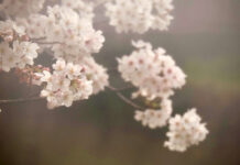 記憶に残る価値 記憶に残る価値