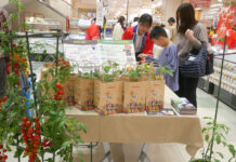 カゴメ中四国支店 店頭でトマト苗配布 地域と連携、学校でも カゴメ中四国支店 店頭でトマト苗配布 地域と連携、学校でも