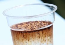 冷たい水にサッと溶ける「ネスカフェ アイスブレンド」 4つの部屋でアレンジの幅やライフスタイルに合わせた楽しみ方も訴求 ネスレ日本 冷たい水にサッと溶ける