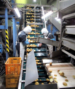 原料の洗浄・選別を徹底