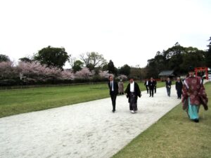 境内の桜の銘木を愛でる島本社長