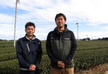 日本茶が転換点 茶価高騰の一方で一番茶に買い手がつかない事態に直面 「日本茶文化を守りたい」静岡の茶農家が語る現場の声 左からJAハイナン流通販売部茶業センター副センター長の江川佳元さんと勝間田開拓茶農業協同組合副組合長の横山嗣人さん