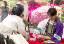 深蒸し新茶を急須でどうぞ 清泉女子大にかごしま百円茶屋 鹿児島茶業会議所 深蒸し一番茶をお茶菓子とともに