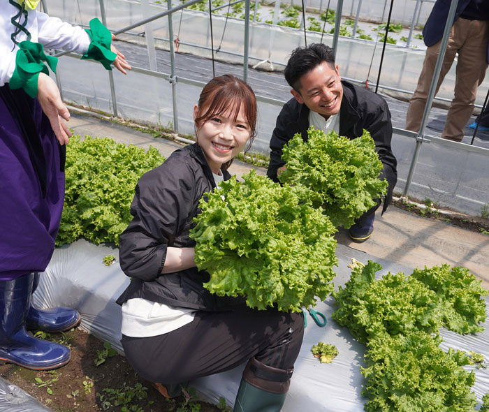 旬野菜を収穫しながら野菜の特徴を学ぶ