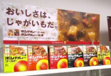 「ボンカレー」のノウハウ継承を途絶えさせないために先手 大塚食品が独自開発のAIシステム活用開始 過去の失敗レシピも価値に 「ボンカレー」