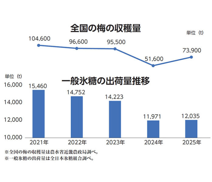 氷糖商戦2026 今年の梅、和歌山が不作 氷糖出荷は平年並み確保へ