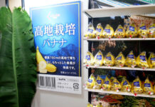コプロ商品展示会 ベトナムの高地バナナ 麻辣湯のカップ麺も 「高地栽培バナナ」をアピール