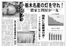 かんぴょう特集 かんぴょう特集